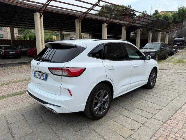FORD Kuga 1.5 EcoBoost 150 CV 2WD ST-Line