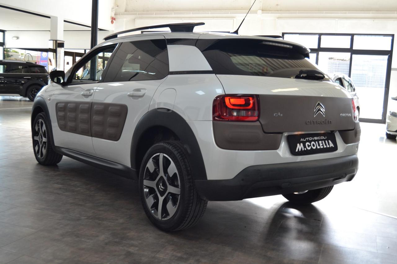 Citroen C4 Cactus BlueHDi 100 Shine Edition Navi/Tetto