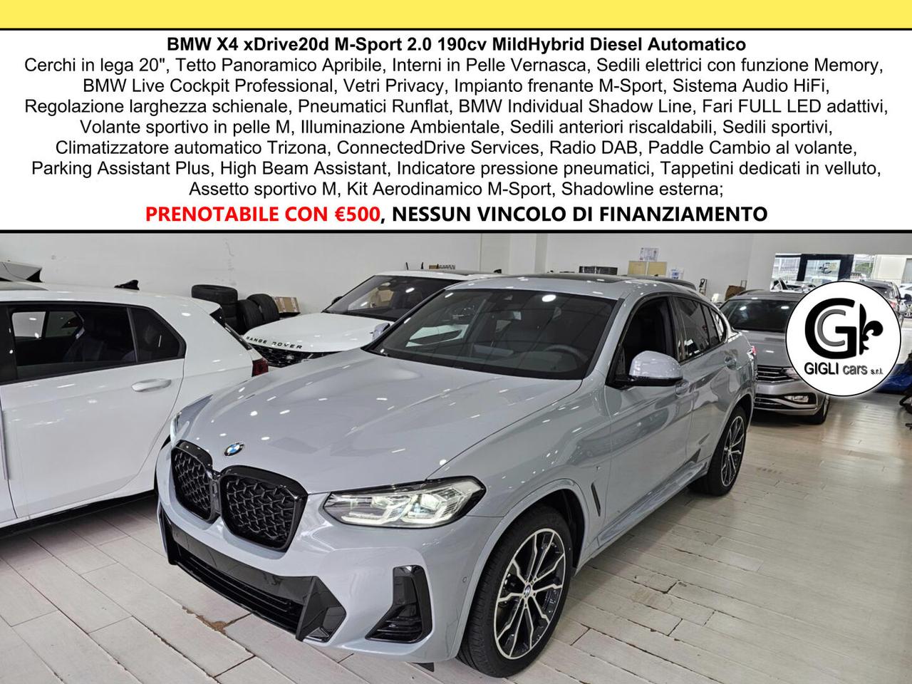 BMW X4 20d M-Sport Tetto Navi Camera LED Clima3Zone MSport
