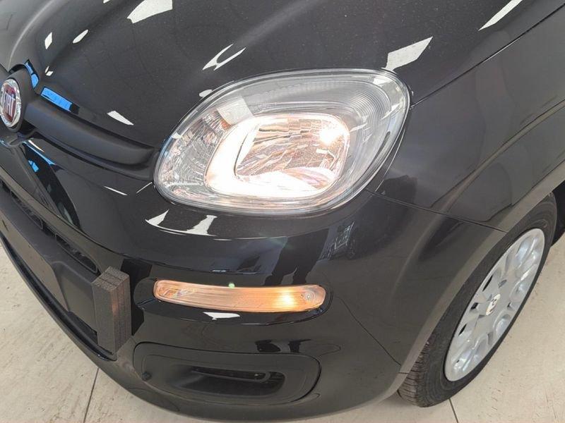 FIAT Pandina 1.0 65cv Hybrid Icon