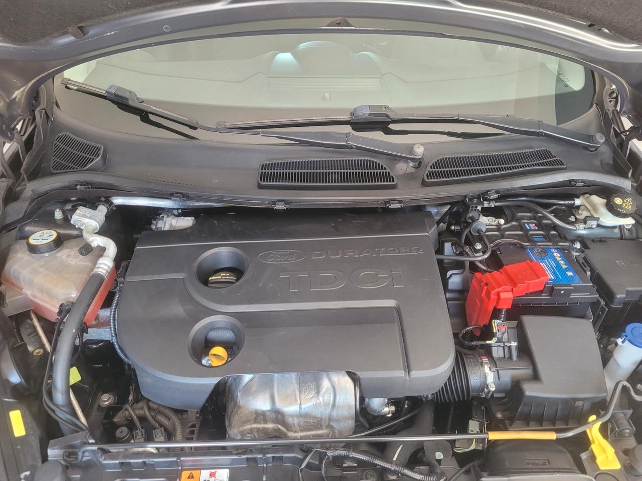Ford Fiesta 1.5 TDCi 75CV 5 porte