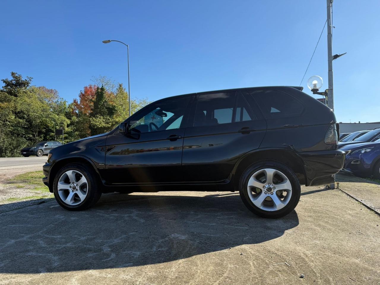 Bmw X5 3.0d cat