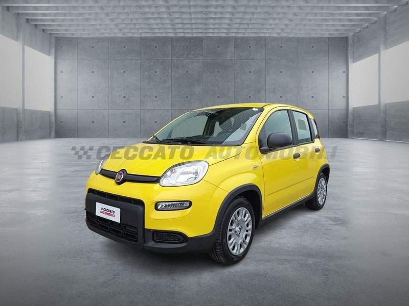 FIAT Panda 1.0 70cv Hybrid Panda