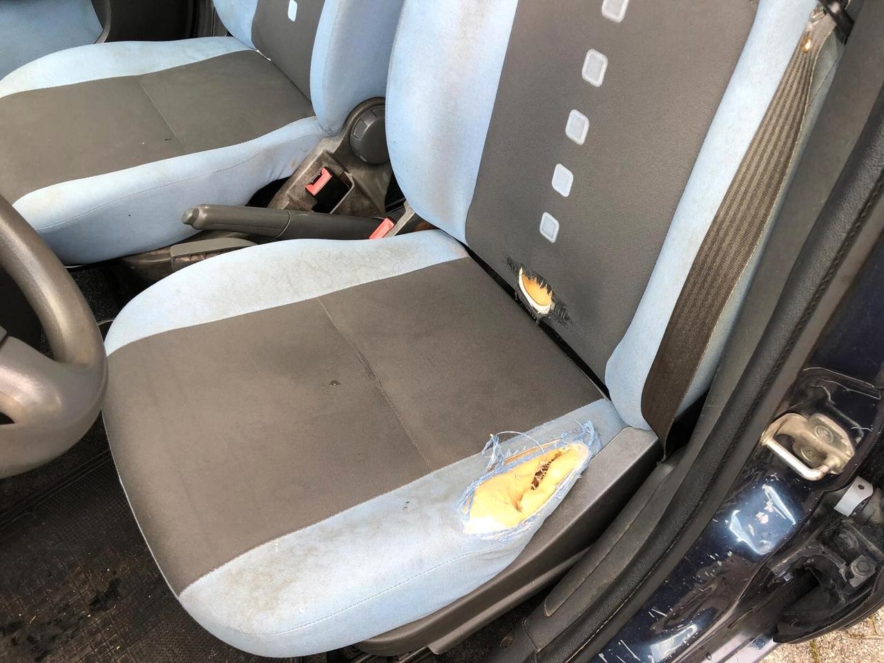 Fiat Panda 1.2 Climbing Natural Power