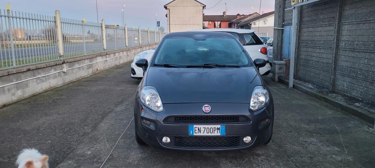 Fiat Punto Evo Punto Evo 1.3 Mjt 95 CV DPF 5 porte S&S Sport