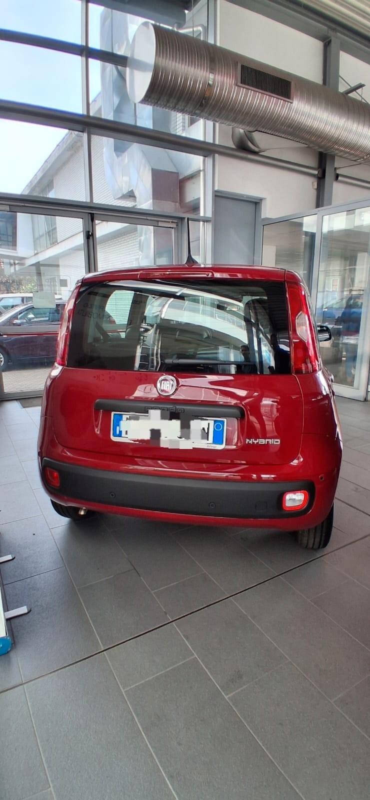 Fiat Panda 1.0 FireFly S&S Hybrid Pandina