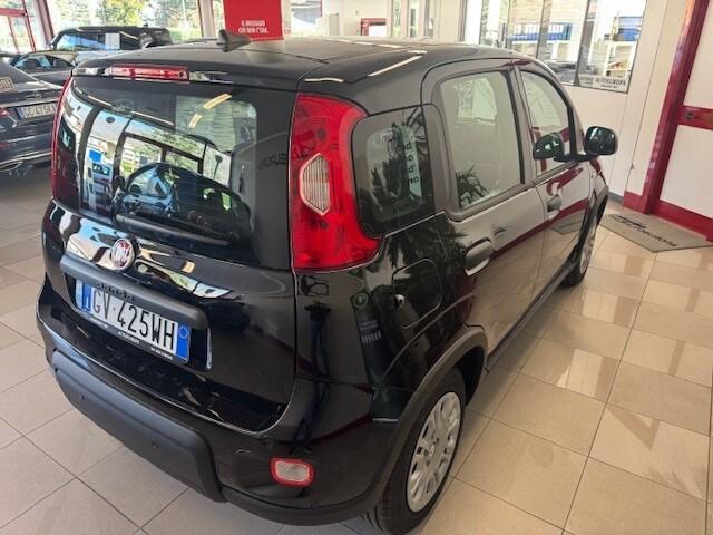 FIAT Panda 3ª serie Panda 1.0 FireFly S&S Hybrid