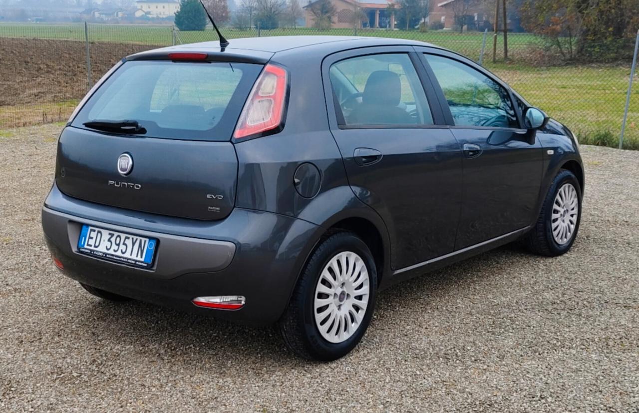 Fiat Punto Evo 1.3 Mjt 90 CV 5 porte Emotion