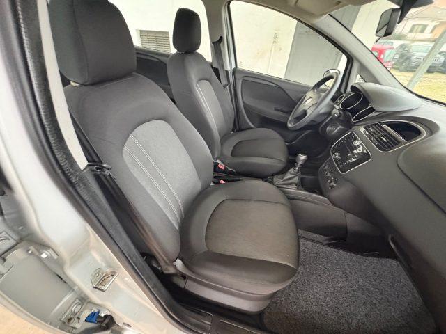 FIAT Punto 1.2 8V 5 porte Street POCHI CHILOMETRI EURO 6