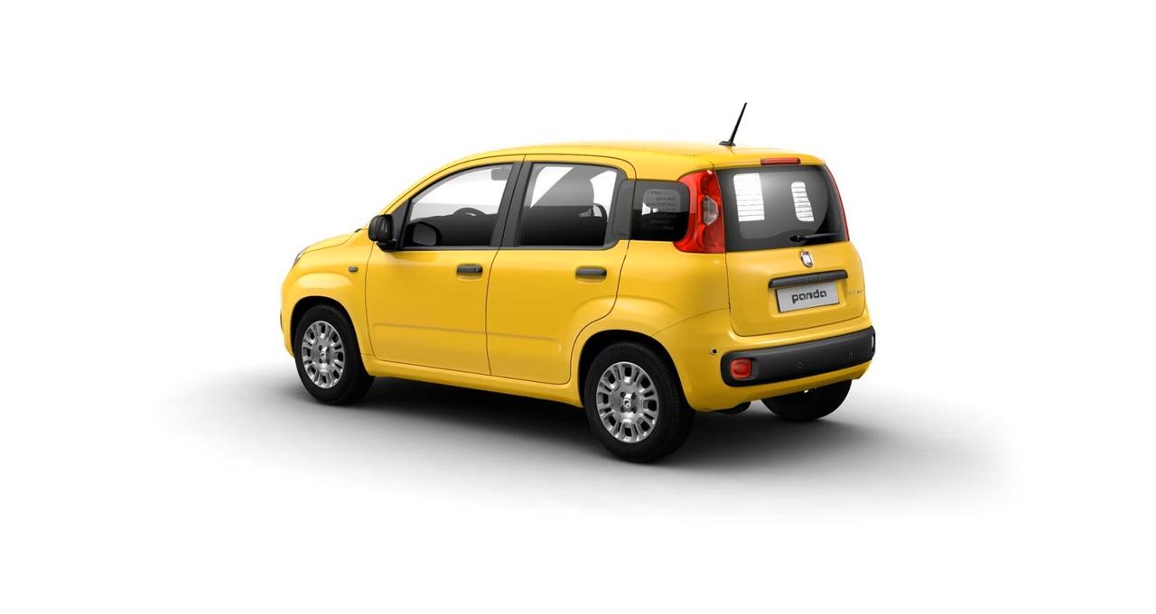FIAT Pandina Pandina 1.0 FireFly 65 CV Hybrid Icon