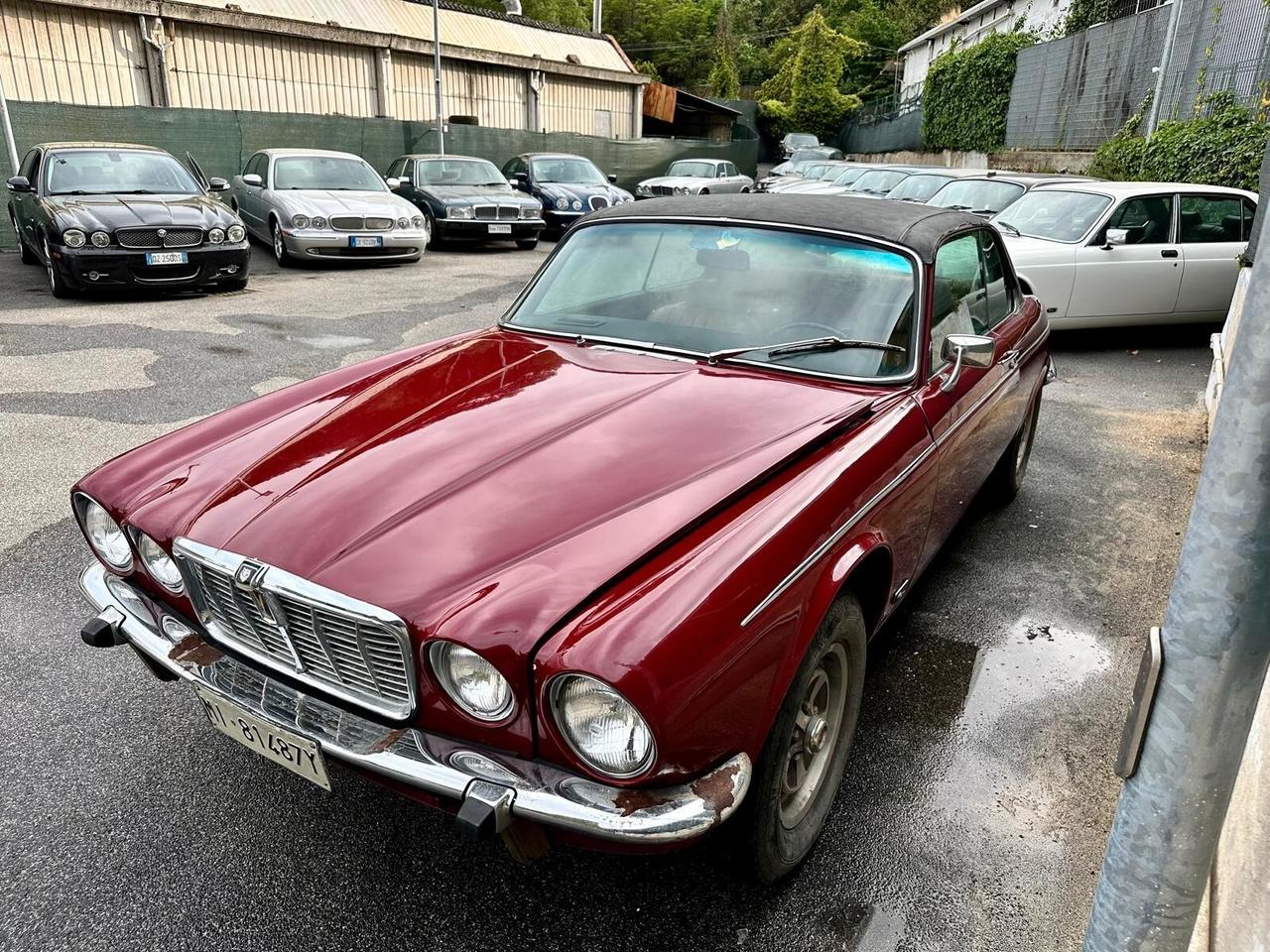 Jaguar XJ12 XJ C V12