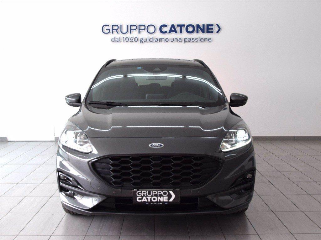 FORD Kuga 1.5 ecoblue ST-Line 2wd 120cv auto del 2023