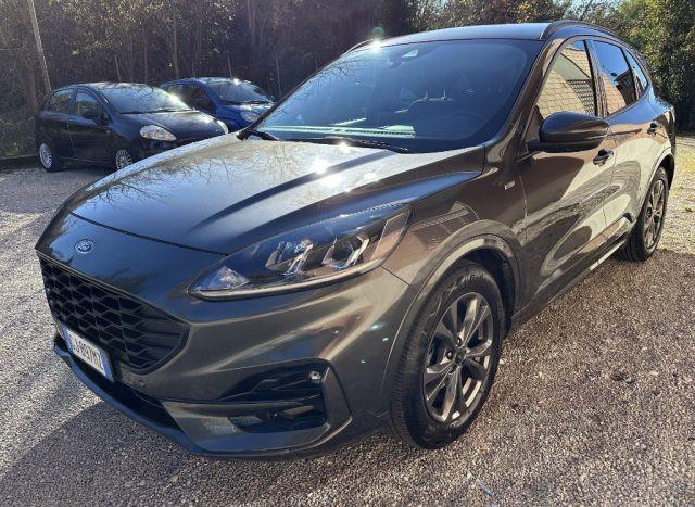 FORD Kuga 1.5 EcoBlue 120 CV 2WD ST-Line GARANZIA