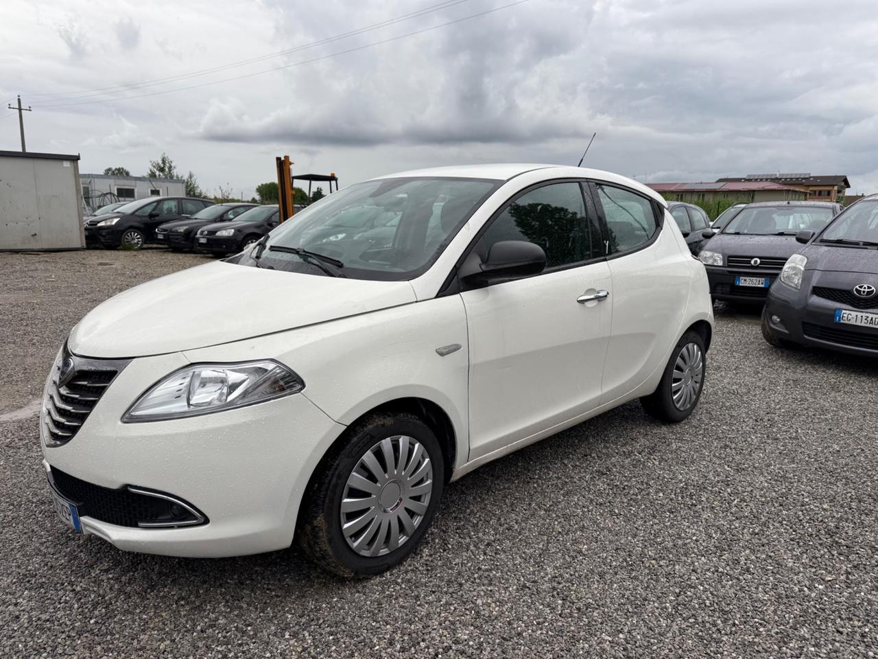 Lancia Ypsilon 1.3 MJT 16V 95 CV 5 porte S&S ELLE