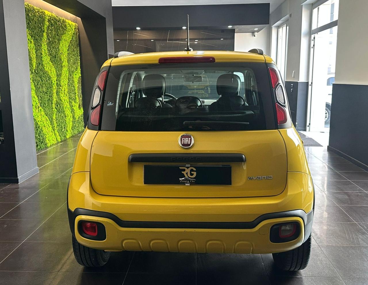Fiat Panda FireFly S&S City Cross 2020 1.0 Ibrido/Benzina