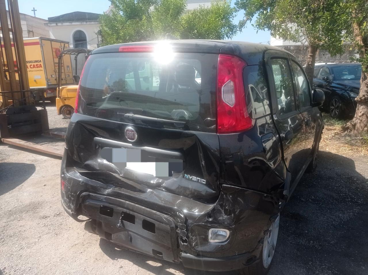 Fiat Panda 1.0 FireFly S&S Hybrid 9000km-2024