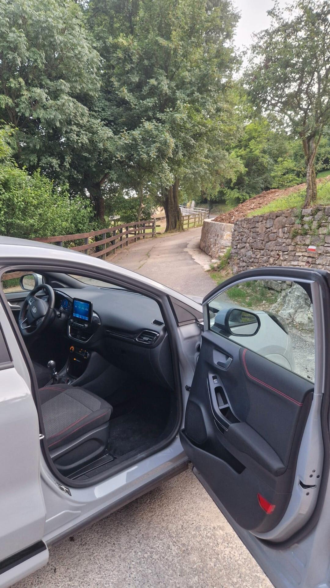 Ford Puma 1.0 EcoBoost Hybrid 125 CV S&S ST-Line
