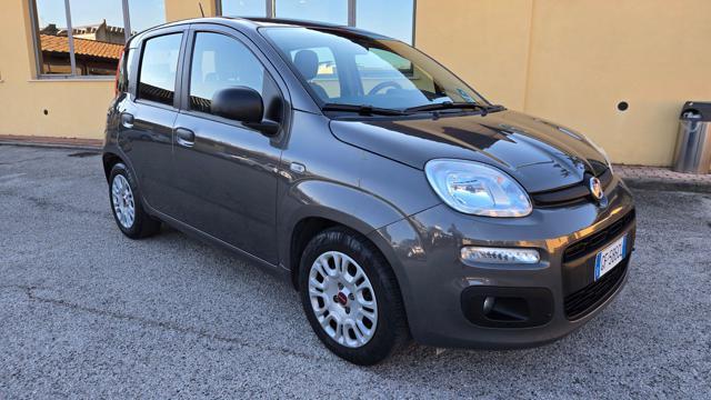 FIAT Panda 1.0 FIREFLY S&S HYBRID 5 POSTI AZIEN.LE GARANZIA