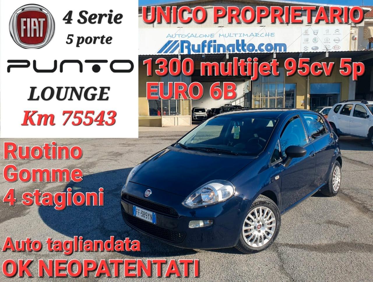 Fiat Punto 1.3 MJT 95CV S&S 5 porte Van Easy 4 posti