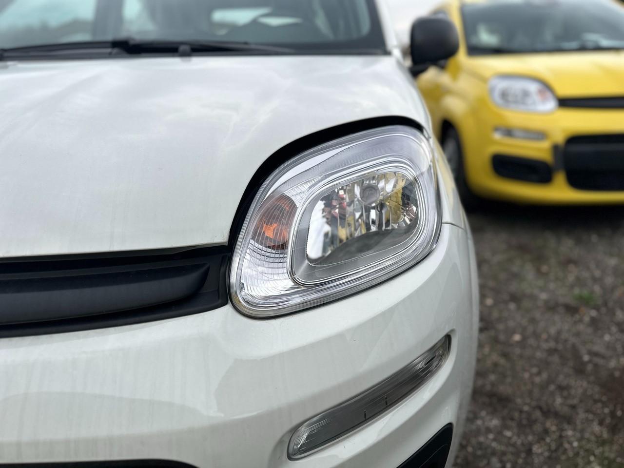 FIAT Pandina III 2024 - Pandina 1.0 firefly hybrid s&s 70cv 5p.ti