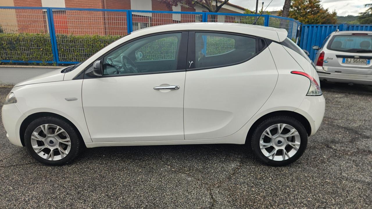 Lancia Ypsilon 1.3 MJT 16V 95 CV 5 porte S&S Platinum