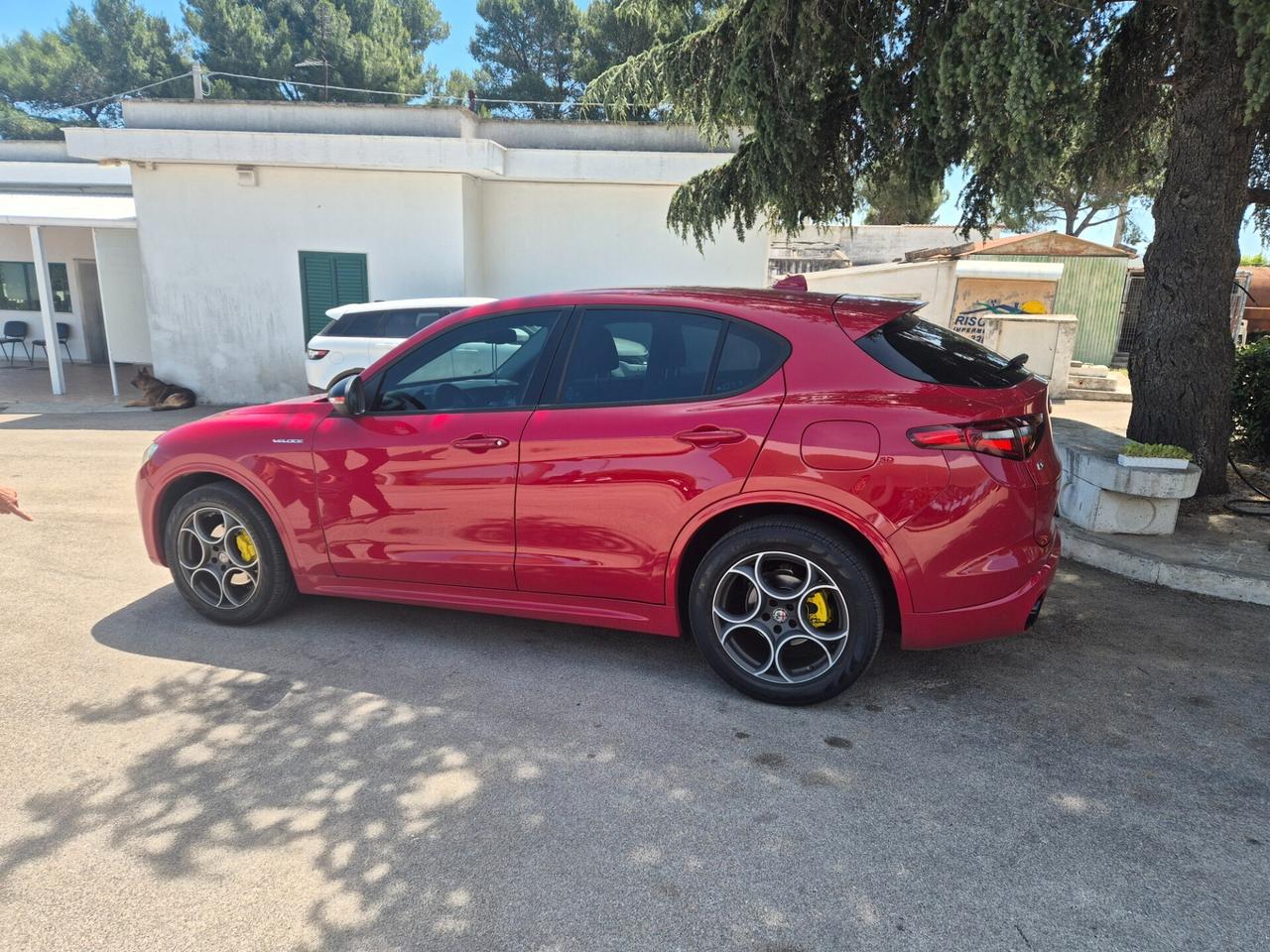 Alfa Romeo Stelvio 2.2 Turbodiesel 210 CV AT8 Q4 veloce