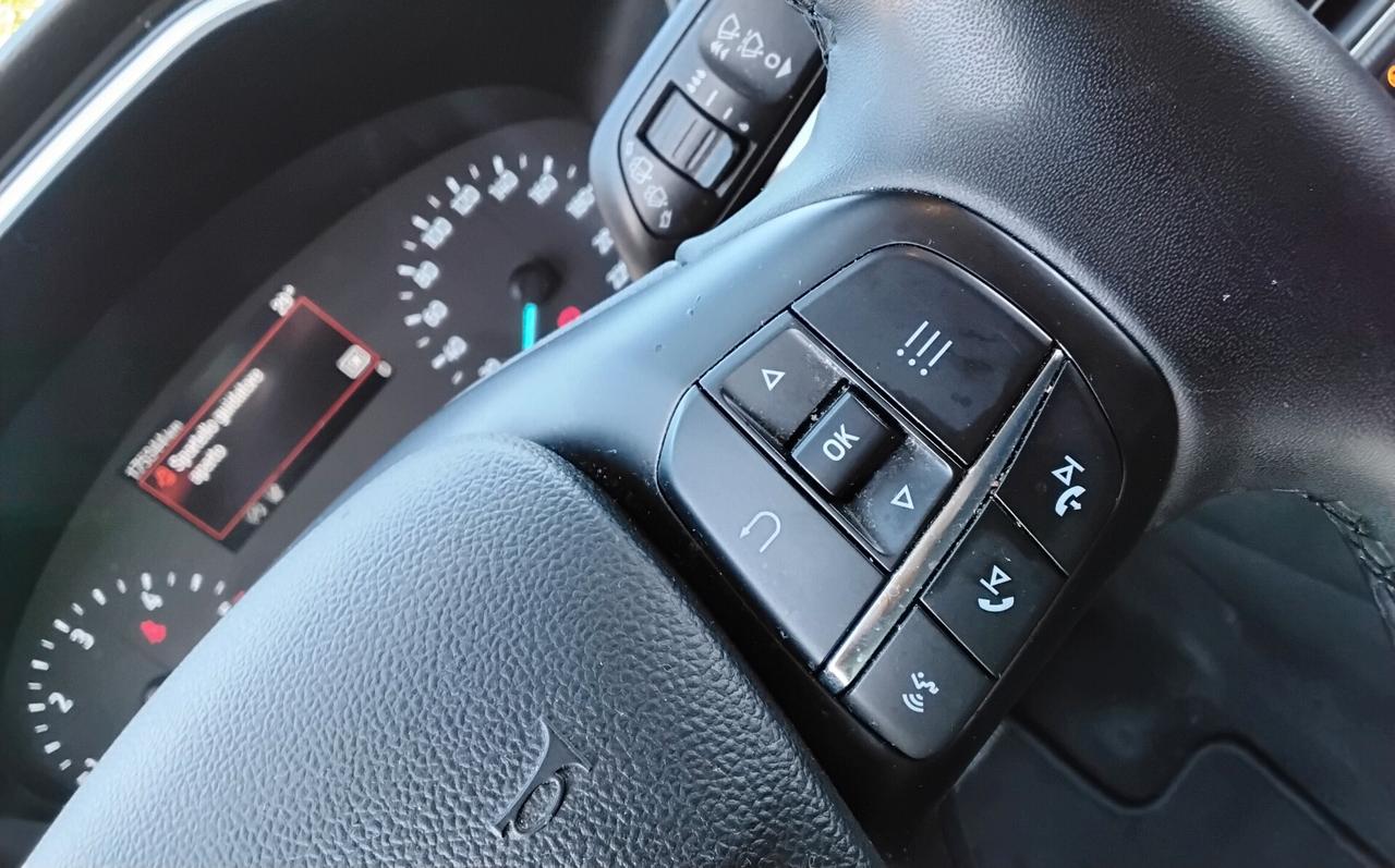 Ford Kuga 1.5 EcoBlue 120 CV aut. 2WD Titanium Business