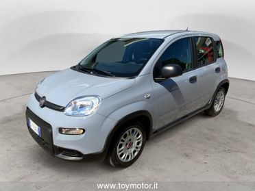 FIAT Panda 3ª serie 1.0 FireFly S&S Hybrid