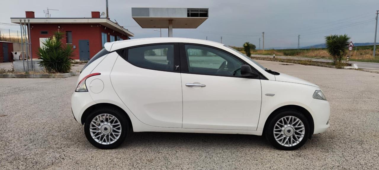 Lancia Ypsilon 1.3 MJT 16V 95 CV 5 porte S&S Platinum