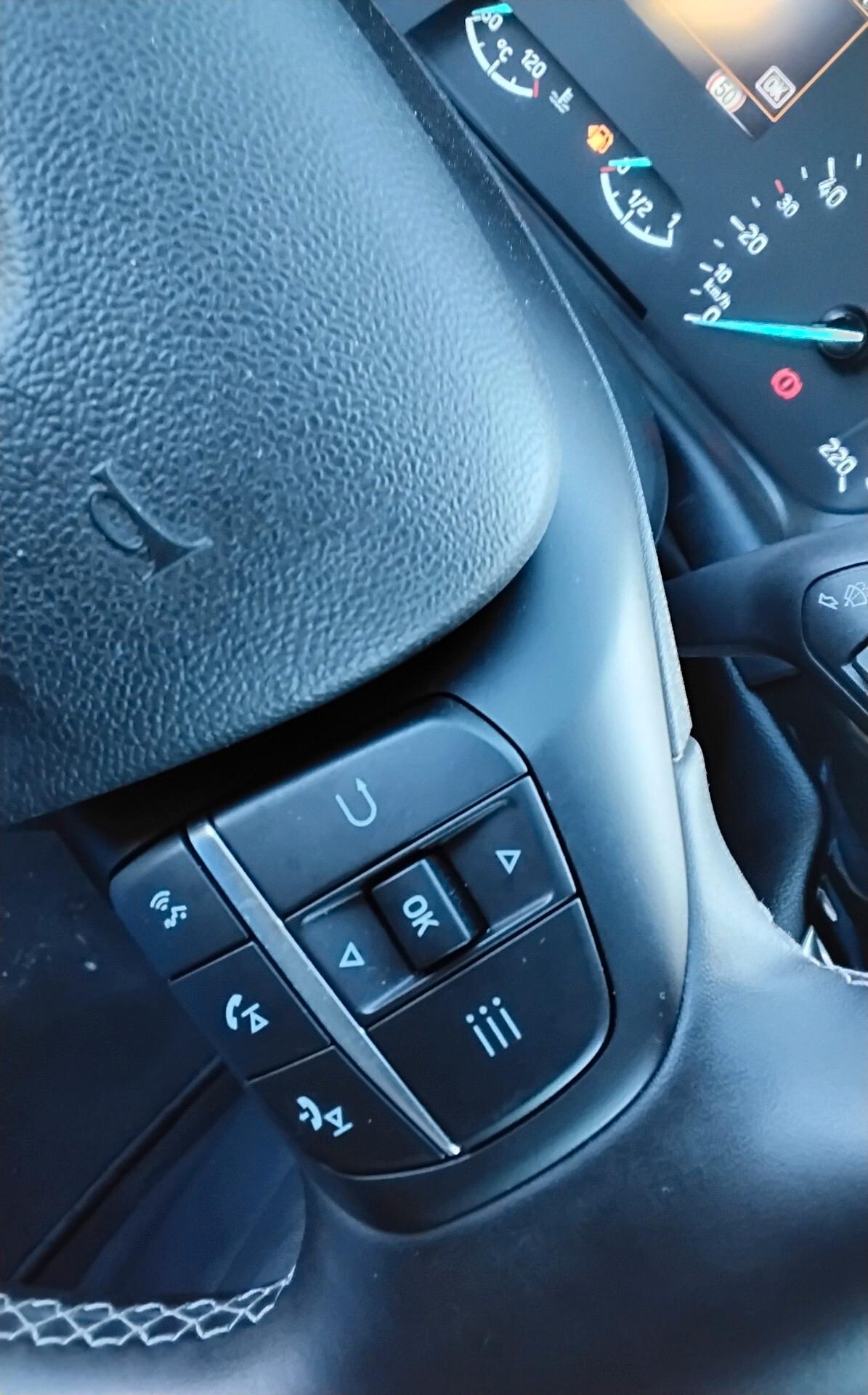 Ford Puma 1.0 EcoBoost Hybrid 125 CV S&S Titanium