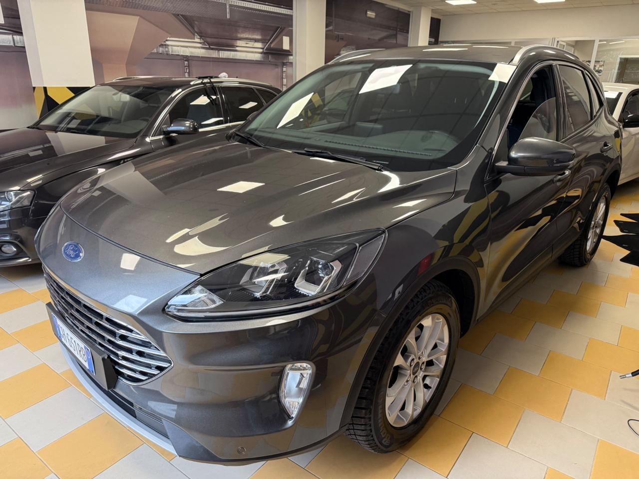 Ford Kuga 1.5 EcoBlue 120 CV 2WD Titanium Business