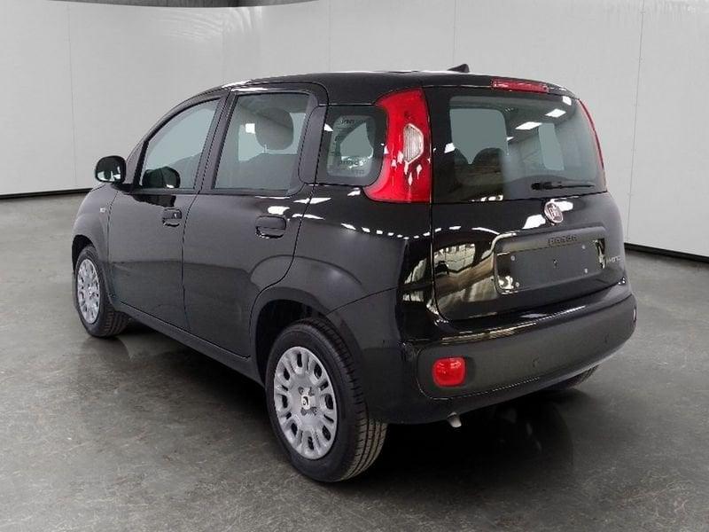 FIAT Pandina 1.0 firefly hybrid Icon s&s 70cv 5p.ti