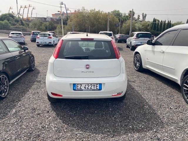 Fiat Punto 1.3 MJT II 75 CV 5 porte Street