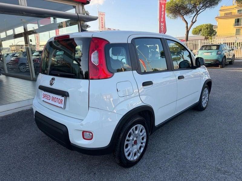 FIAT Panda 1.0 FireFly 70cv Hybrid, 5 POSTI, SENSORI PARCHEGGIO!