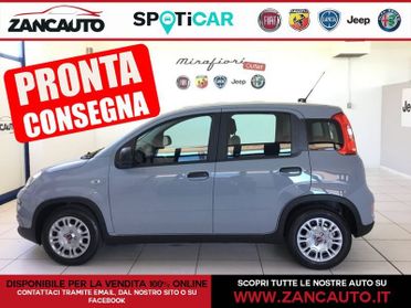 FIAT Panda Panda 1.0 FireFly S&S Hybrid my22