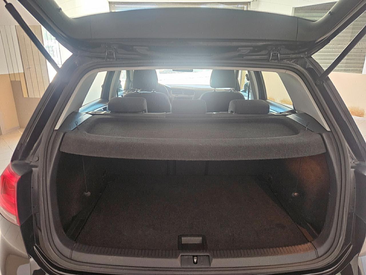 Volkswagen Golf 1.6 TDI 5p. Highline BlueMotion Technology