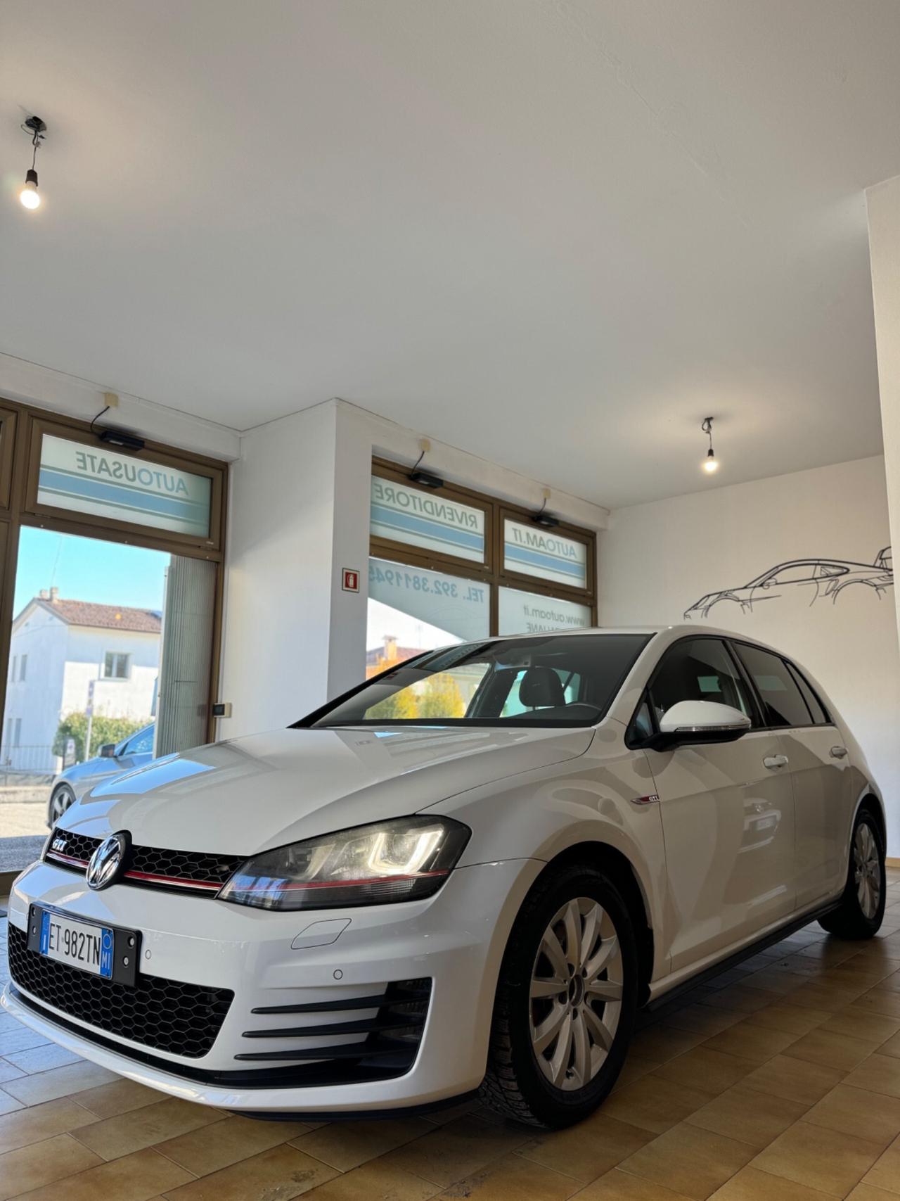 Volkswagen Golf GTI Golf GTI Performance 2.0 TSI 5p. BlueMotion Technology