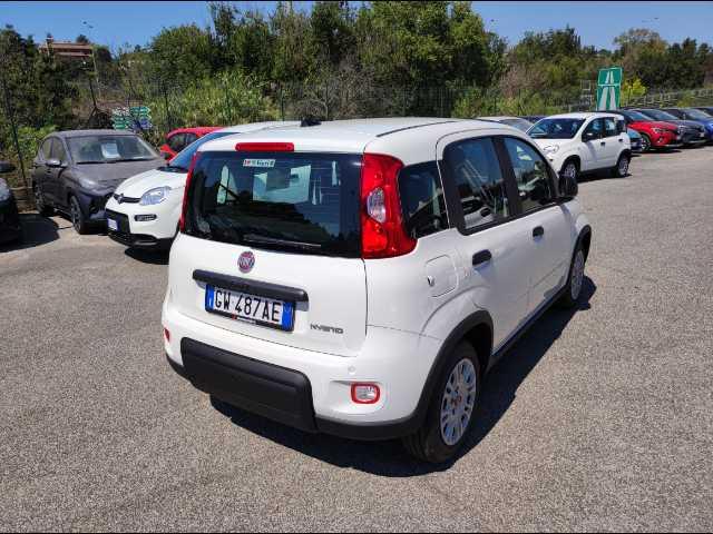 FIAT Panda 1.0 firefly hybrid s&s 70cv