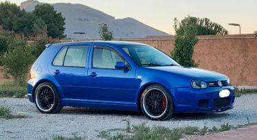 Volkswagen Golf 1.9 TDI/101 CV cat 5p. Comfortline