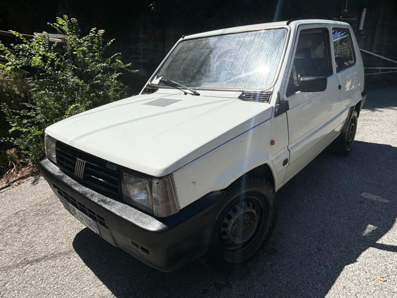 Fiat Panda 900 i.e. cat Young