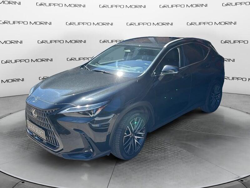 Lexus NX Hybrid Luxury 4WD MY22