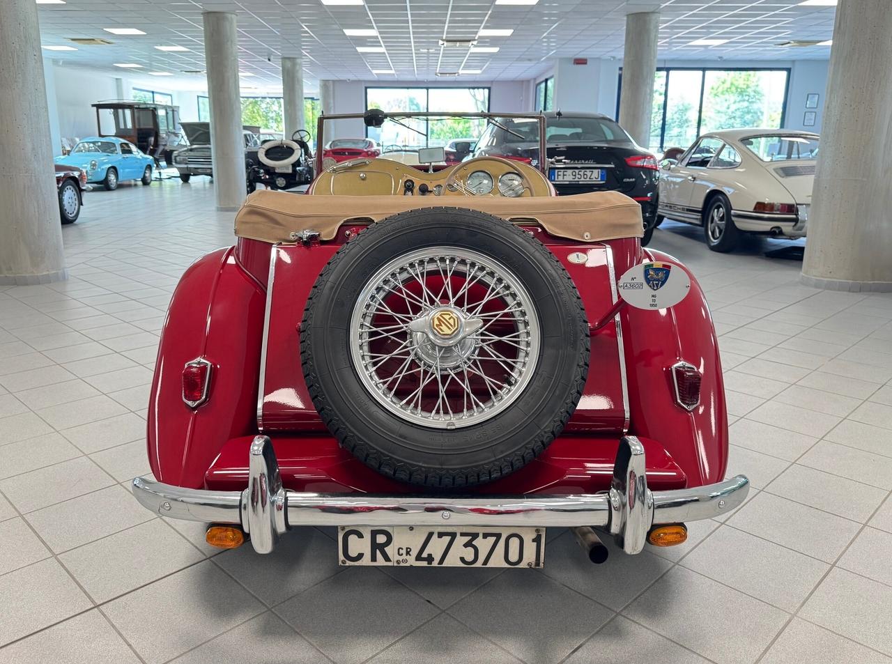 Mg TD .