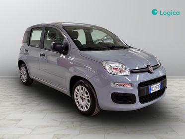 FIAT Panda III 2021 - Panda 1.0 firefly hybrid s&s 70cv