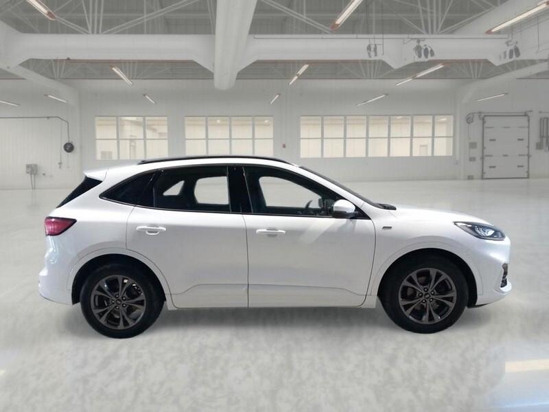 Ford Kuga 1.5 EcoBlue 120 CV 2WD ST-Line