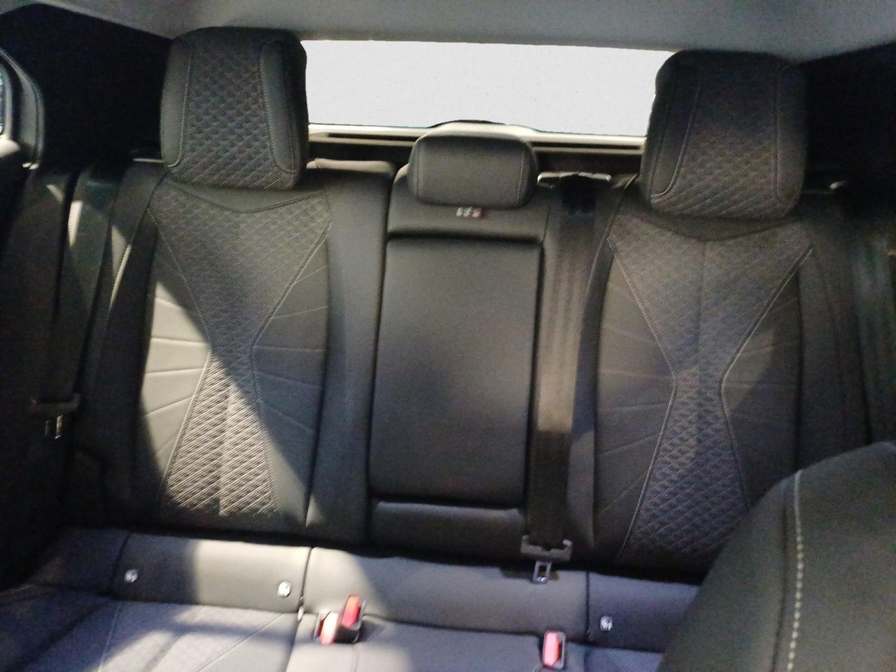DS N°4 PALLAS HYBRID 145