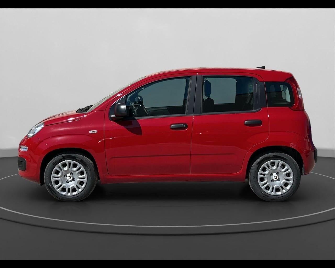 FIAT Panda My25 1.0 70cv Hybrid Panda