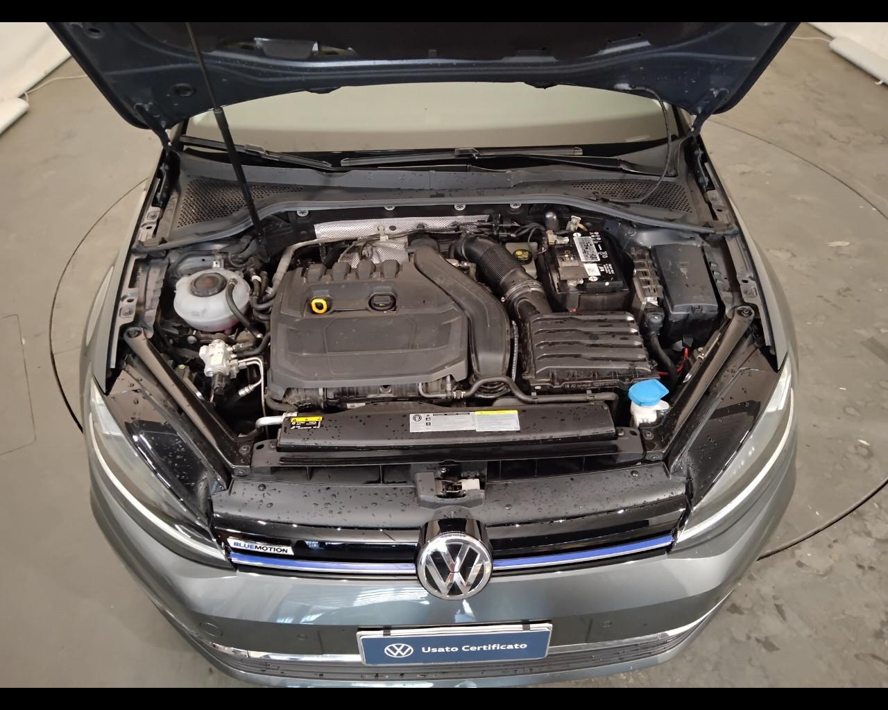 VOLKSWAGEN Golf VII 2017 5p - Golf 5p 1.5 tgi Executive 130cv dsg