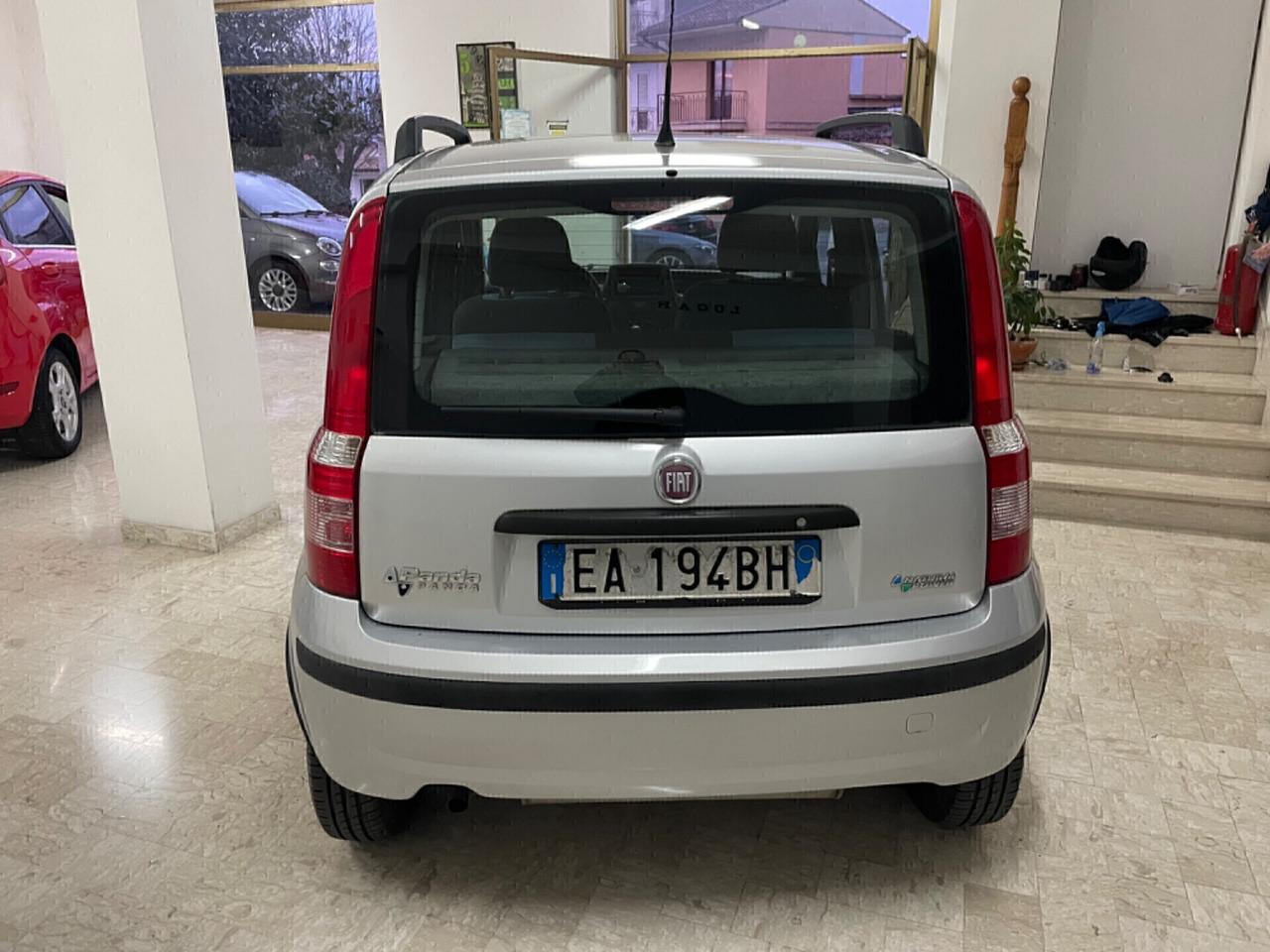 FIAT PANDA 1.2 60 CV DYNAMIC NATURAL POWER