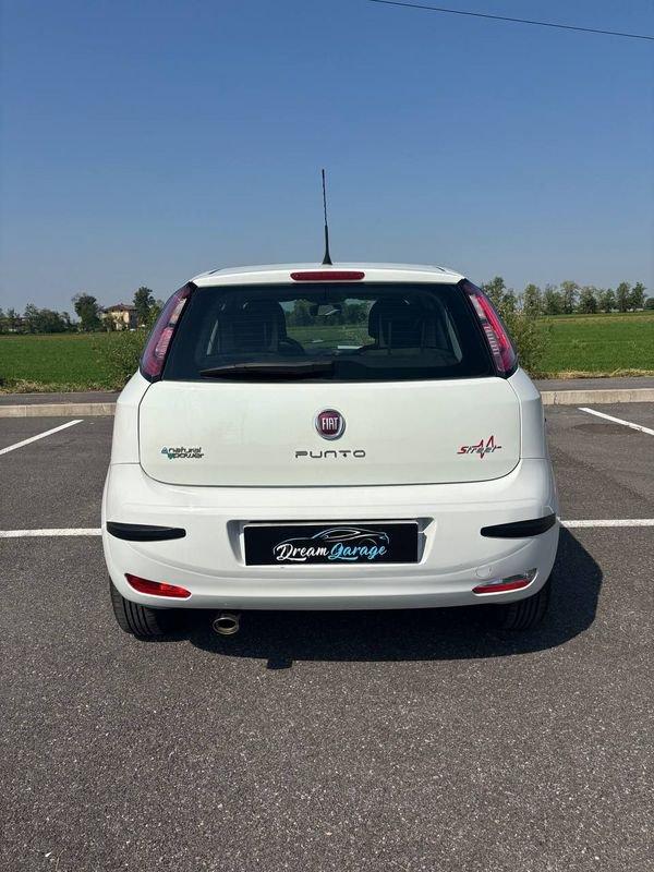 FIAT Punto NEOP. 1.4 8V 5 porte Natural Power Lounge