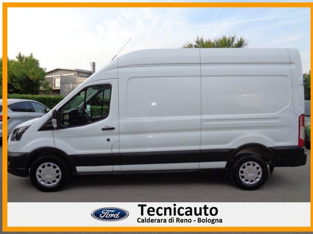 FORD Transit 350 2.0TDCi EcoBlue 170CV PL-TA VAN Trend
